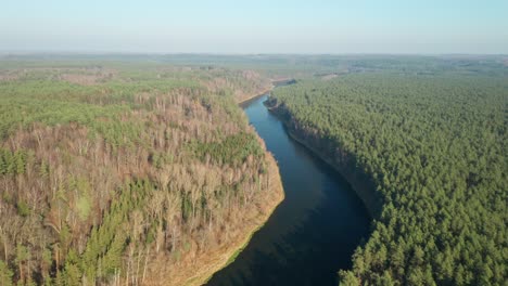 Aérea:-Volando-Sobre-El-Río-Y-El-Bosque-De-Pinos-Verdes