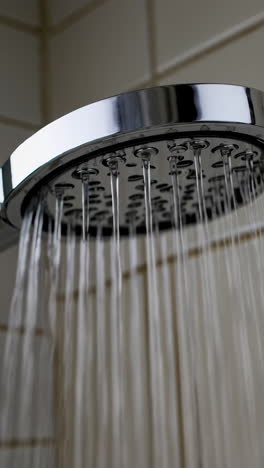 close-up of a shower head with water spray