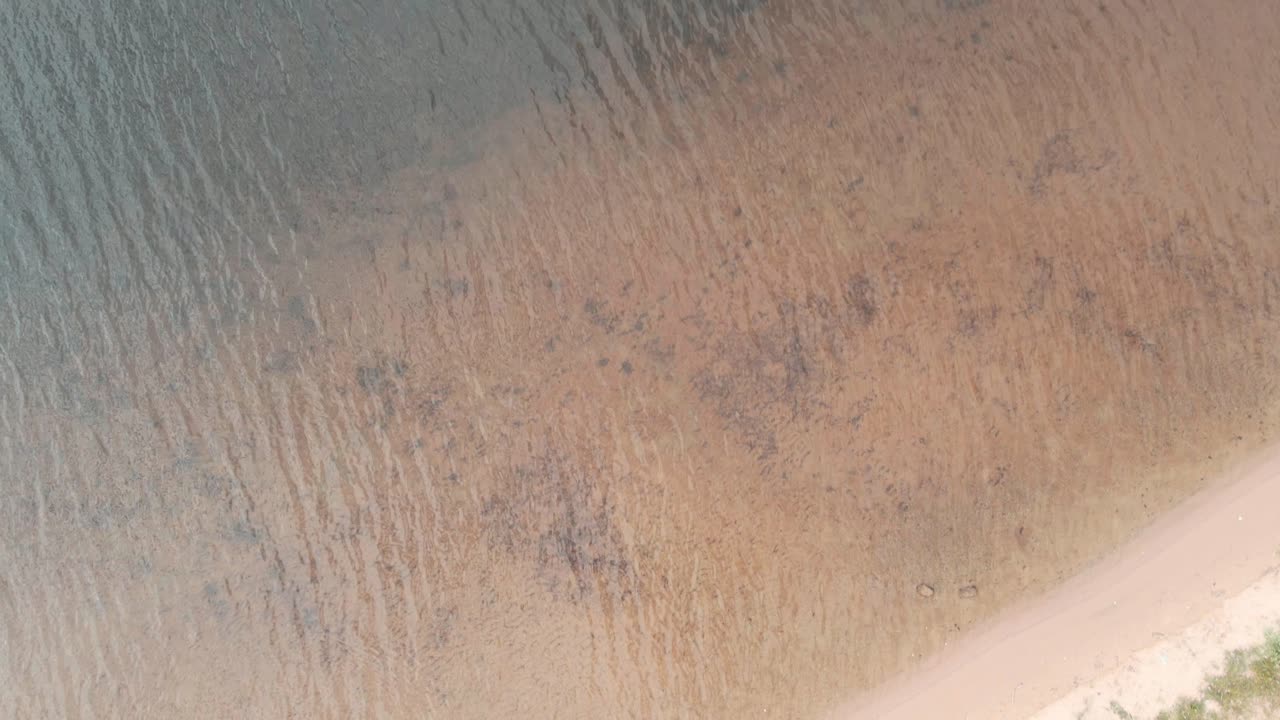 vista de pájaro de la costa del parque del lago mona