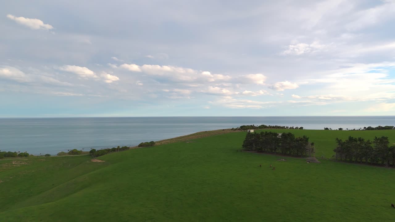 Aerial view over a Kaikōura coastal meadow on the Pacific Ocean, New Zealand.