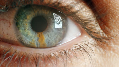 close-up of a human eye