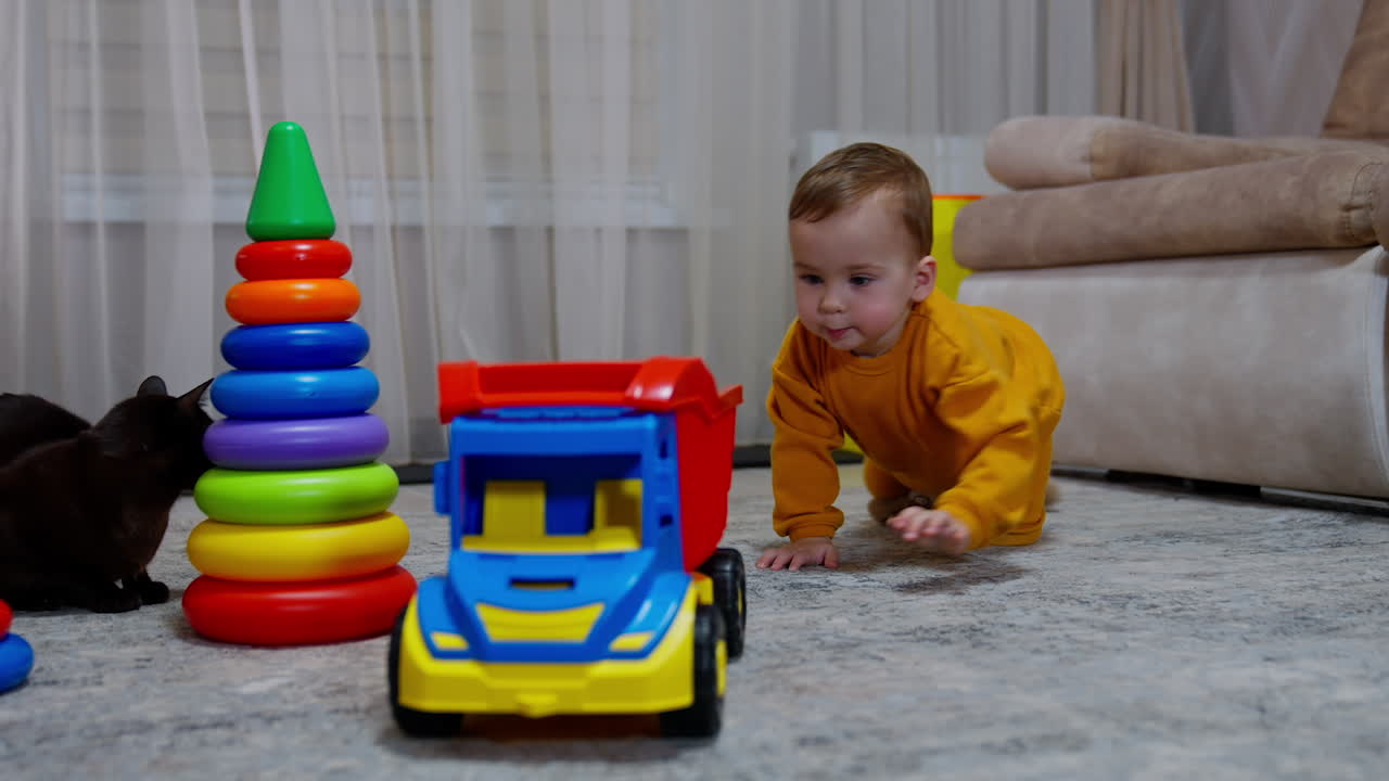 Baby Playing with Toys and a Cat