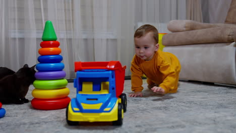 baby playing with toys and a cat