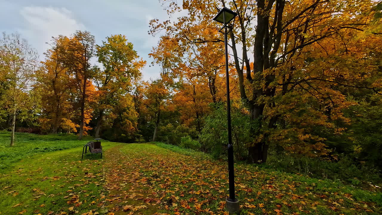 Beautiful park with autumn colors, motion view