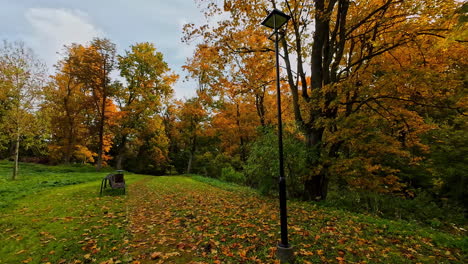 beautiful park with autumn colors, motion view