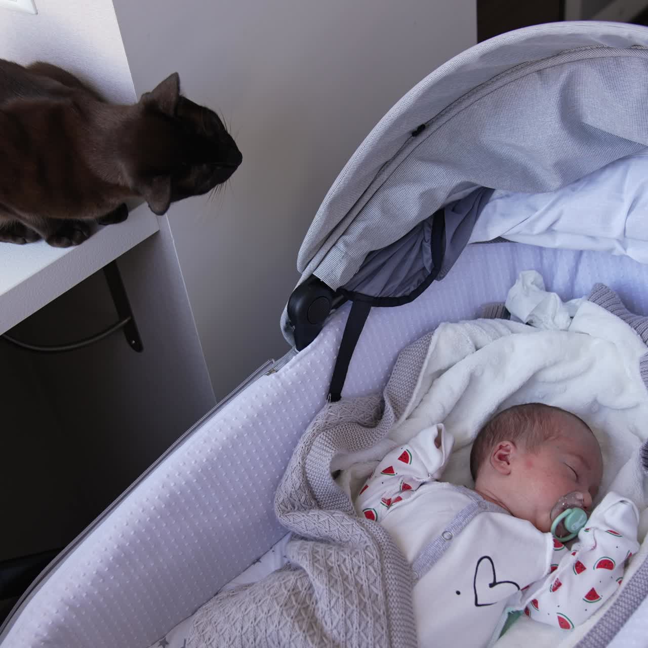 Gatto nero seduto sul davanzale della finestra. Il gattino osserva il bambino che dorme nella carrozzina. Il gatto annusa la carrozzina del bambino.