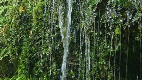 nature's ballet: close-up of water cascading down a small waterfall in captivating stock footage