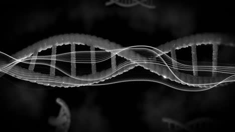 Animation-Von-Diagrammen-über-DNA-Stränge