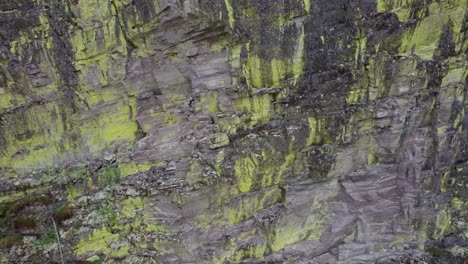 a jib up drone shot of the walls of the jutulhogget canyon in norway shows lichen life clinging to the walls