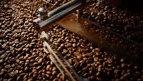 coffee beans processing