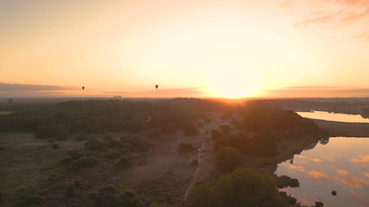 숲 풍경 위에서 해가 뜨는 핫 에어 풍선