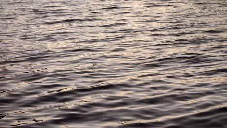 ripples on the surface of dark and rough water, reflecting the light