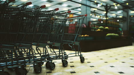 shopping carts lined up in a spacious grocery store during daytime