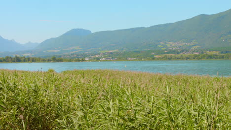 sunny day at lac du bourget in aix-les-bains region, france.