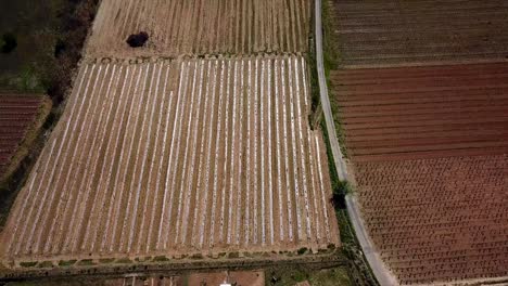 Toma-Aérea-De-Montagnac,-Francia-Revela-La-Belleza-De-La-Encantadora-Ciudad-Medieval