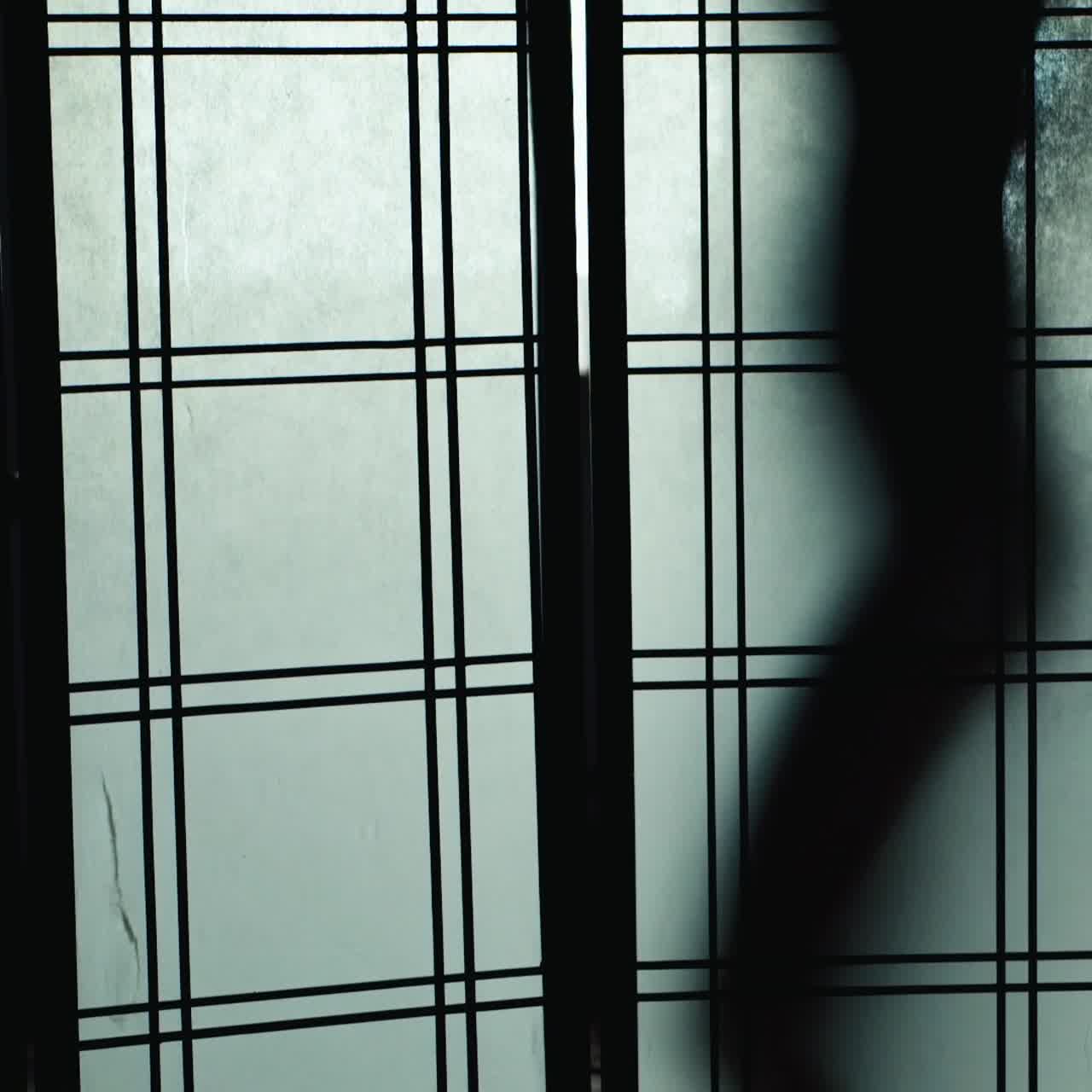 Silhouette of a slender woman dancing behind a transparent screen