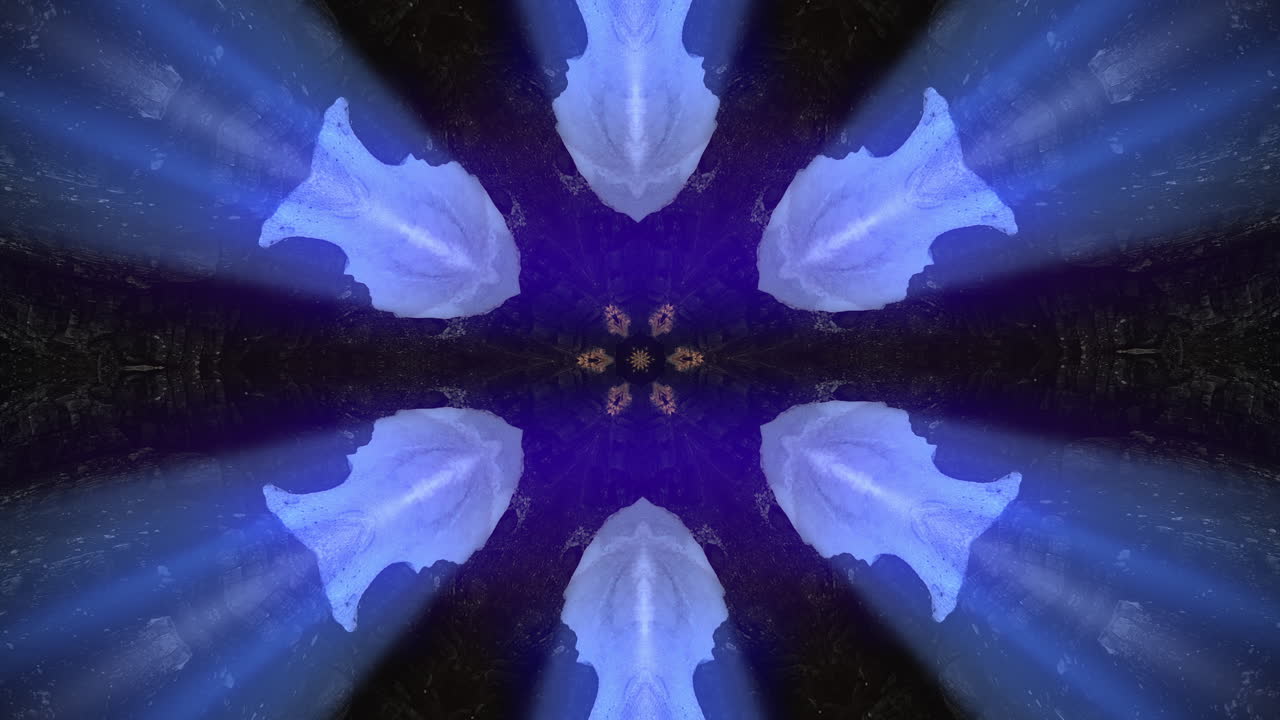 Abstract flower-like kaleidoscope animated pattern
