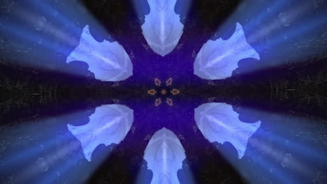 abstract flower-like kaleidoscope animated pattern