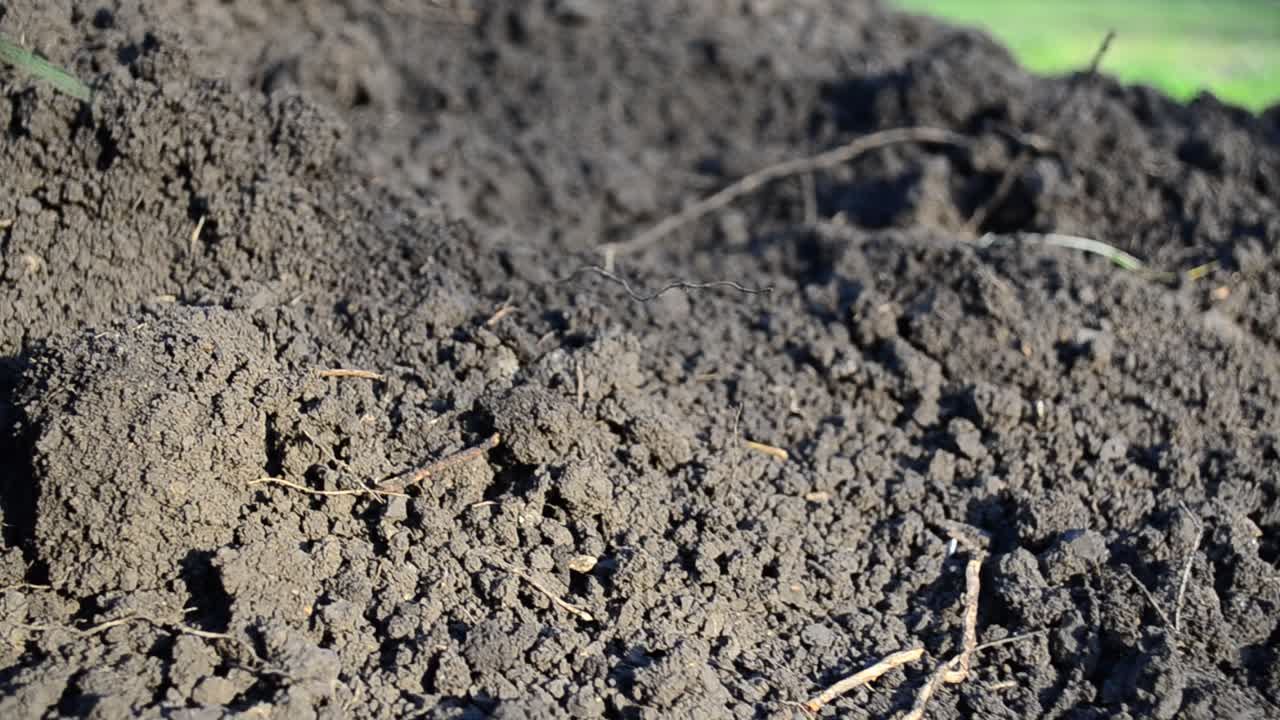 Terra ed erba. Sfondo dalla terra