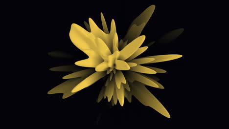 vibrant yellow flower set against a dramatic black backdrop