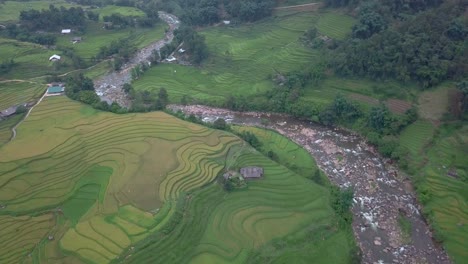 epic river and rice fields in vietnam