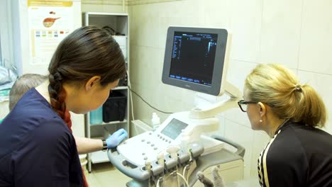 diagnóstico por ultrasonido en una clínica veterinaria