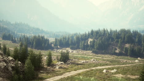 dirt road and hiking trail track in dolomites mountain