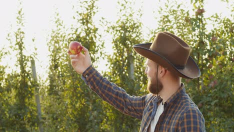 farmer holding an apple in an orchard