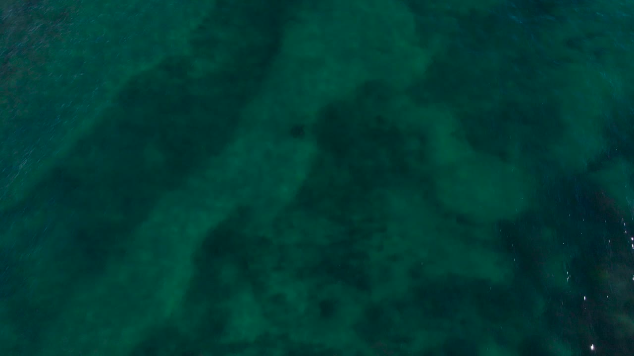 vista de dron del arrecife de carlsbad