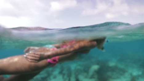 beautiful tan girl model snorkeling on caribbean blue ocean surface along barrier reefs