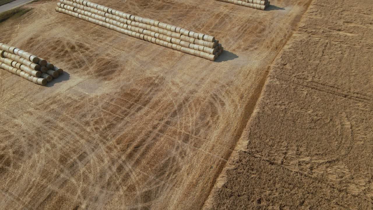 parte del campo ha sido cosechado con una cosechadora. la paja se recoge en un rollo y se apila en una pirámide en el borde del campo. campo de grano maduro. fotografía aérea