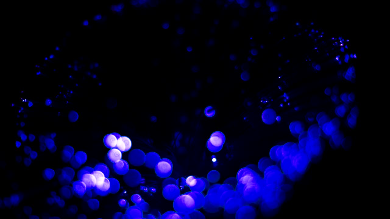 입자 보케 빛, 입자 배경 패턴