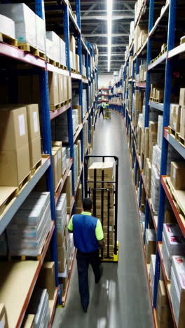 warehouse interior with worker and stock