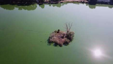 Sesión-De-Drones-De-La-Isla-Al-Mediodía-En-La-Laguna-De-Axotlán-Cerca-De-La-Ciudad-De-México