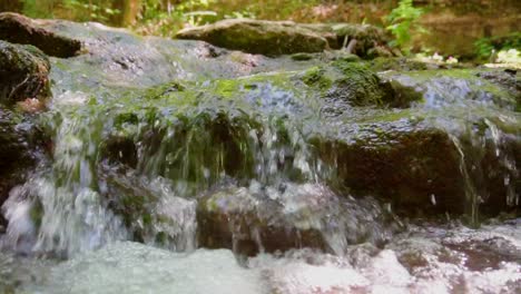 tracking shot mountain stream in lush woodland,slow motion footage