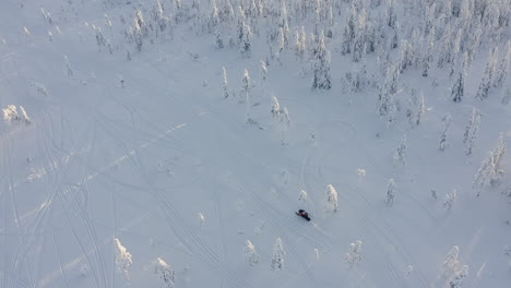 drone shot of a snowmobile rides close to a snowy dense forest in branäs, sweden