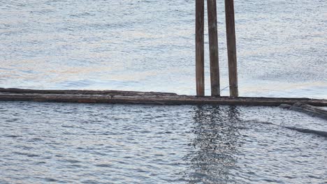 wooden debris of old jetty floating on river, water gleam in sunlight