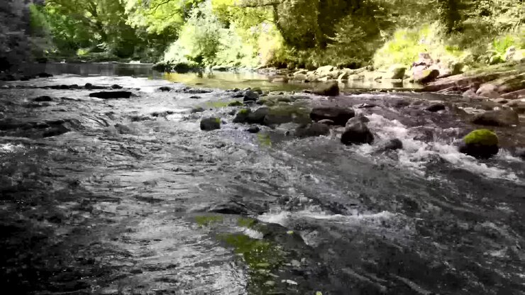 La rivière Dart à la lisière du parc national de Dartmoor en Angleterre, Royaume-Uni, montrant la tranquillité de la rivière dans les zones boisées