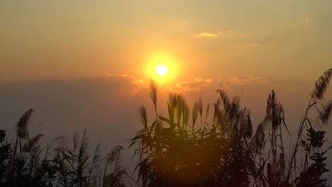 Sunset-over-Chiang-Mai,-Thailand-on-a-warm-summer-day