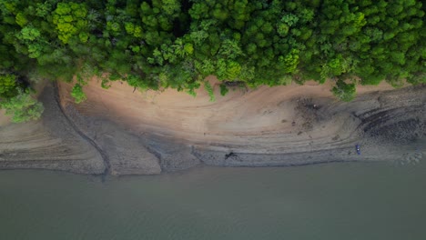 evening mangrove river krabi thailand