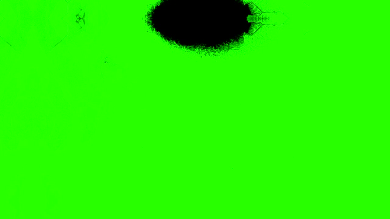 Transizione con schizzi di inchiostro astratti multipli, pennellate orizzontali e verticali su sfondo green screen chroma key con canale alfa, animazione di pittura