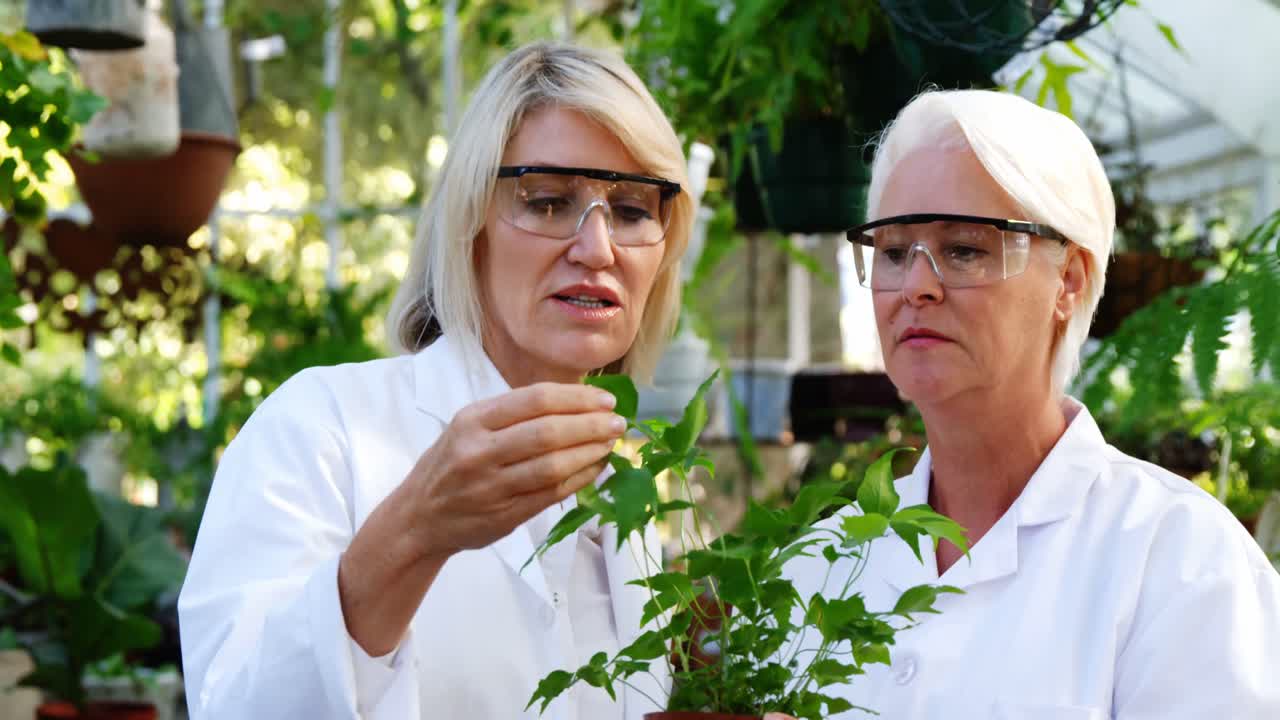 científicas chequeando las plantas