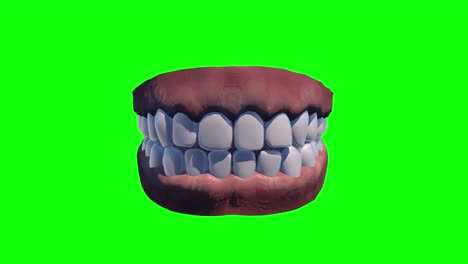 8 different animations teeth denture dental dentist human green screen chroma key model 3d