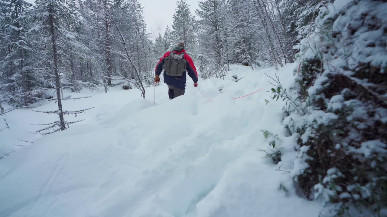 excursionista con mochila sube a una colina nevada y admira el bosque cubierto de nieve en invierno