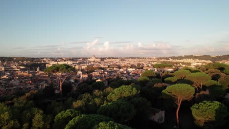 Hermosos-Pinos-En-Los-Jardines-De-Villa-Borghese,-Roma,-Italia,-4k-Aéreo.