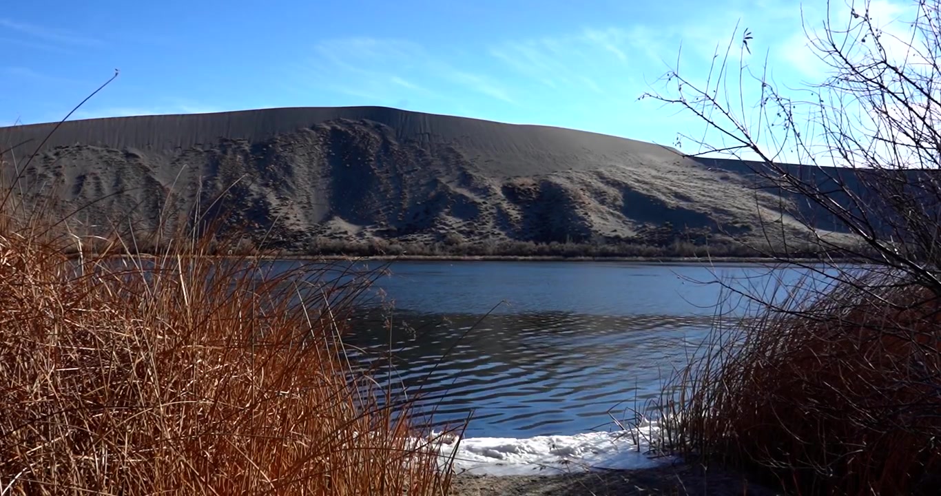 Naturskön sjö framför sanddyn i Bruneau Dunes State Park, Idaho