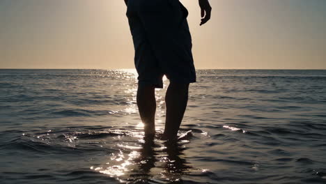 silhouette of a person standing in the ocean at sunset