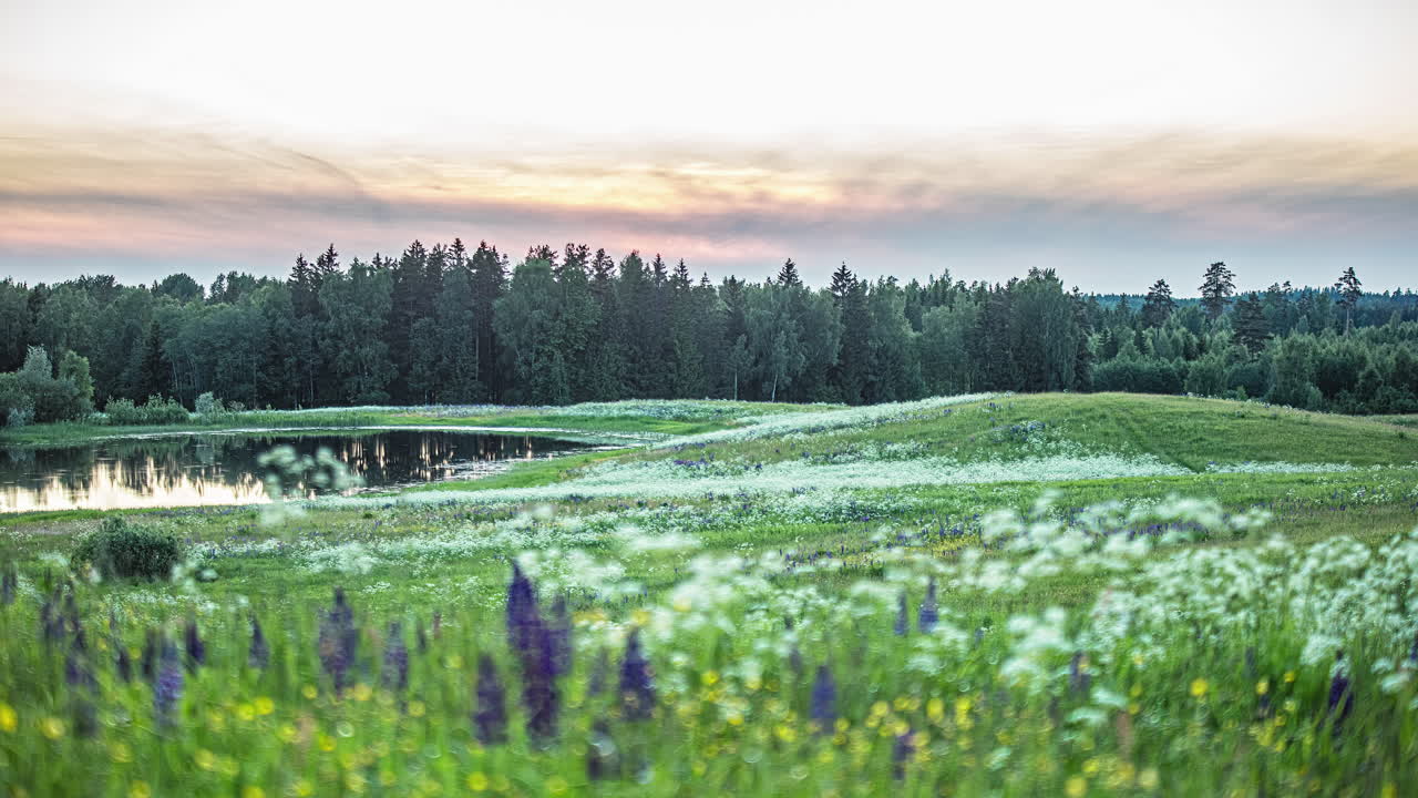 저녁 시간 동안 시골 초원에 있는 작은 물고기 연못을 통해 타임랩스에서 흰 구름 움직임의 정적 샷
