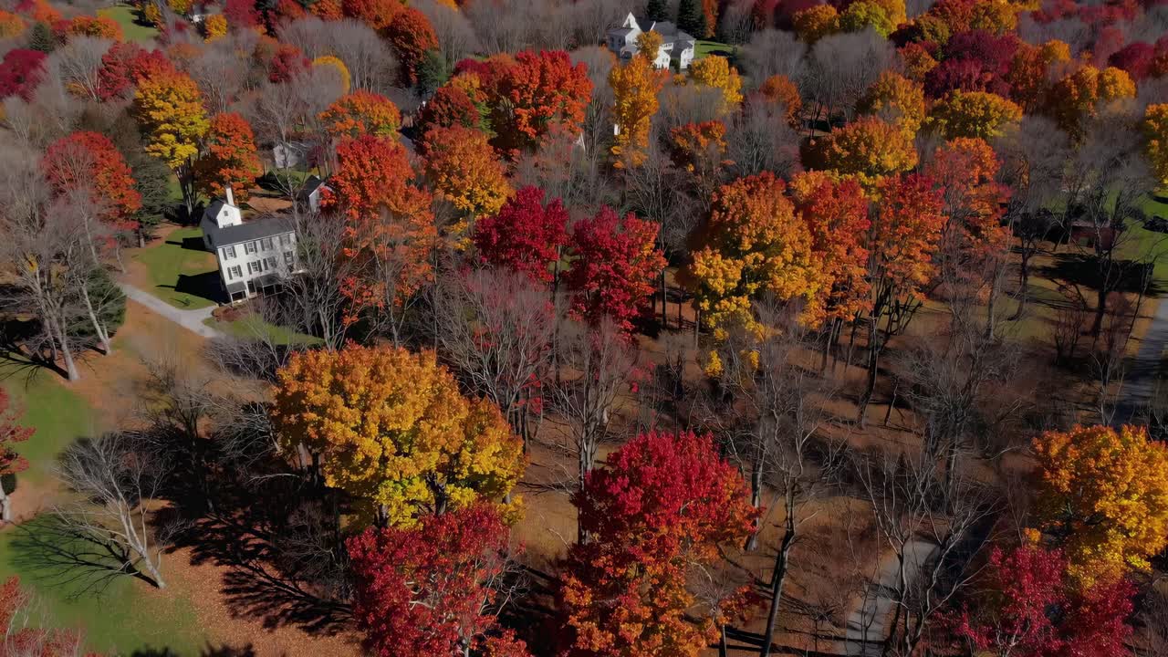 Aerial video captures vibrant autumn foliage from a high angle, showcasing a vast landscape