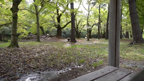 esperando que pare la lluvia